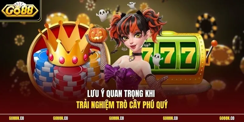 Lưu ý quan trọng khi trải nghiệm trò Cây Phú Quý